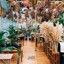 Load image into Gallery viewer, COFFEE x 365 FOR A YEAR!